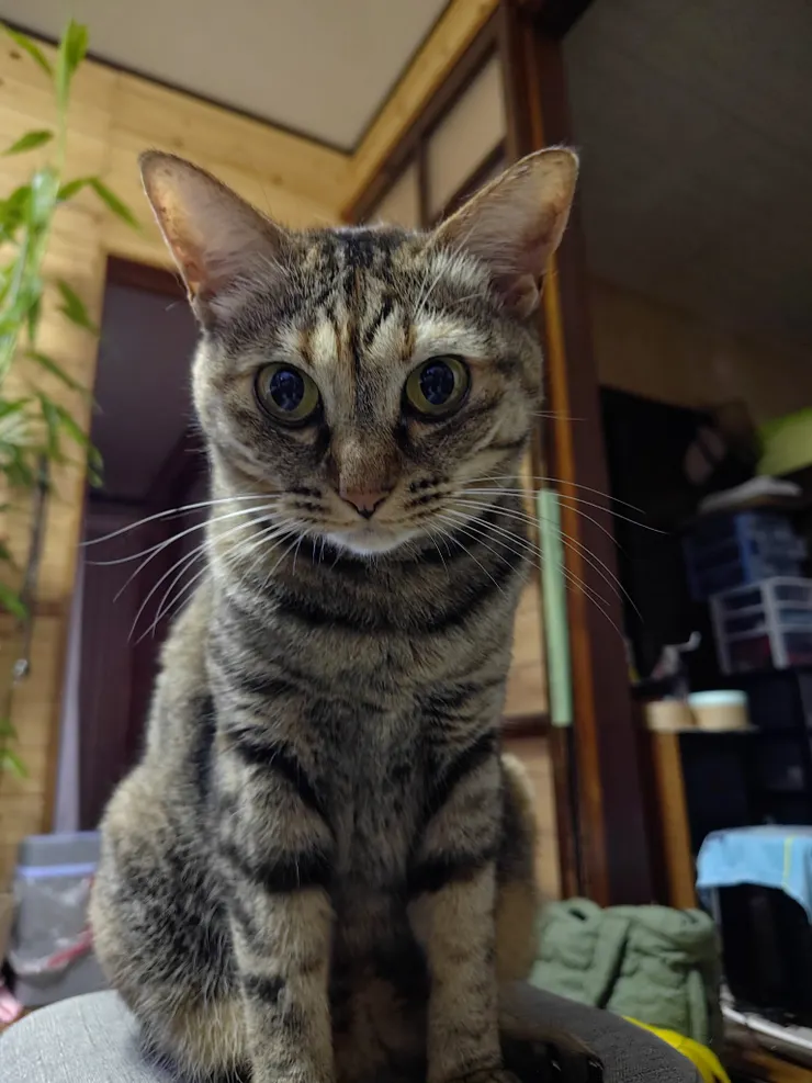 アイキャッチ