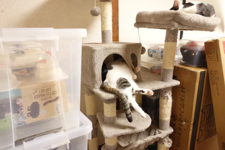 アイキャッチ