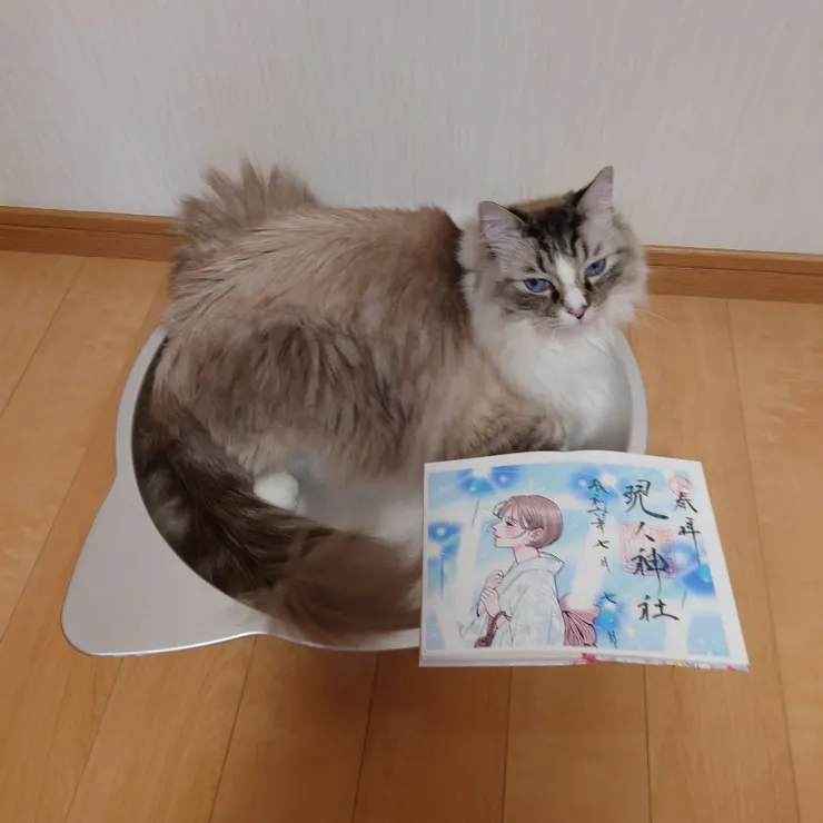 アイキャッチ