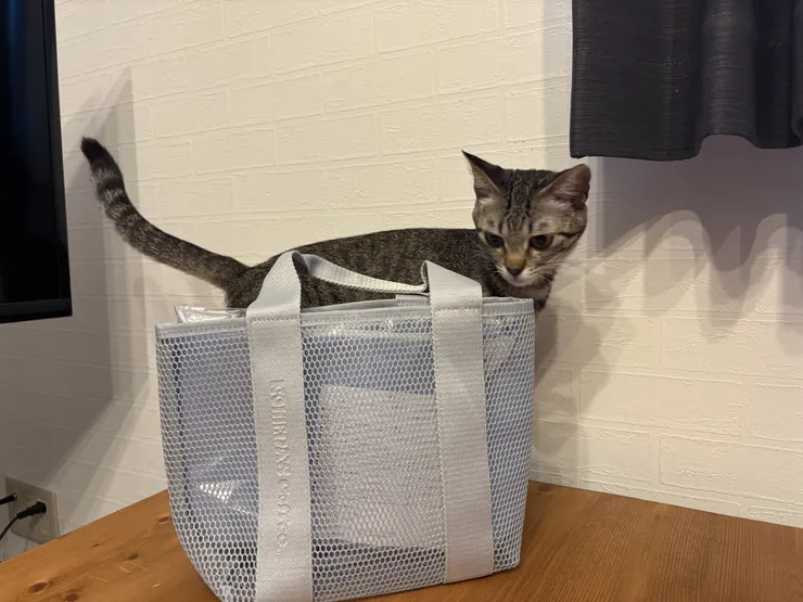 アイキャッチ