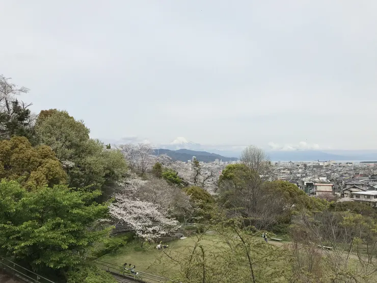 アイキャッチ