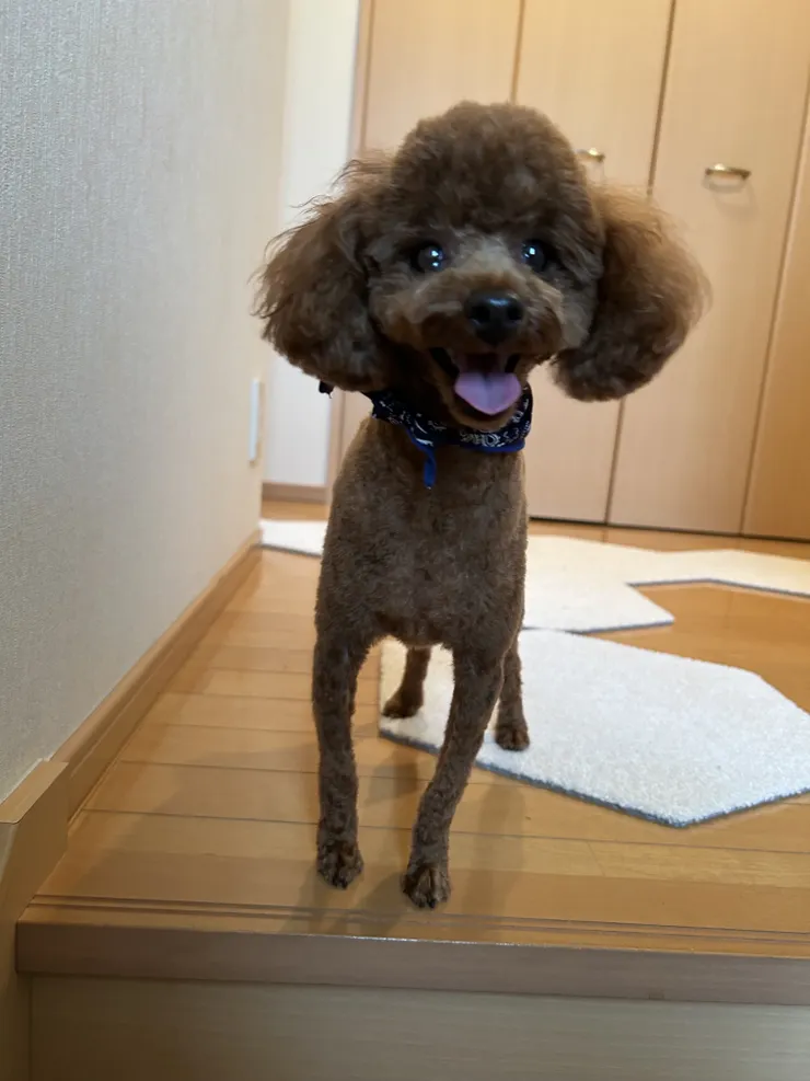 アイキャッチ