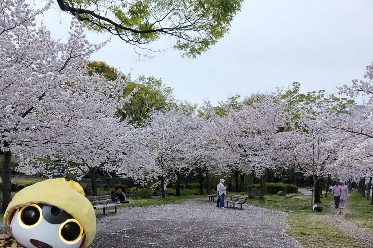 アイキャッチ