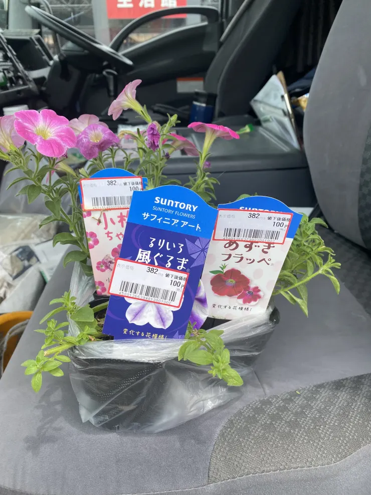 アイキャッチ