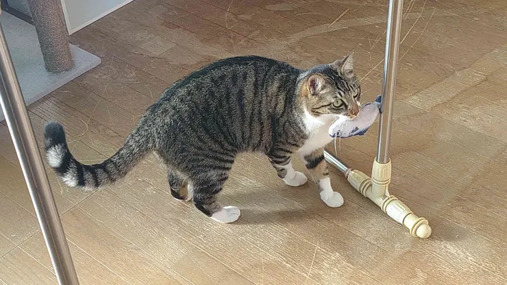 アイキャッチ