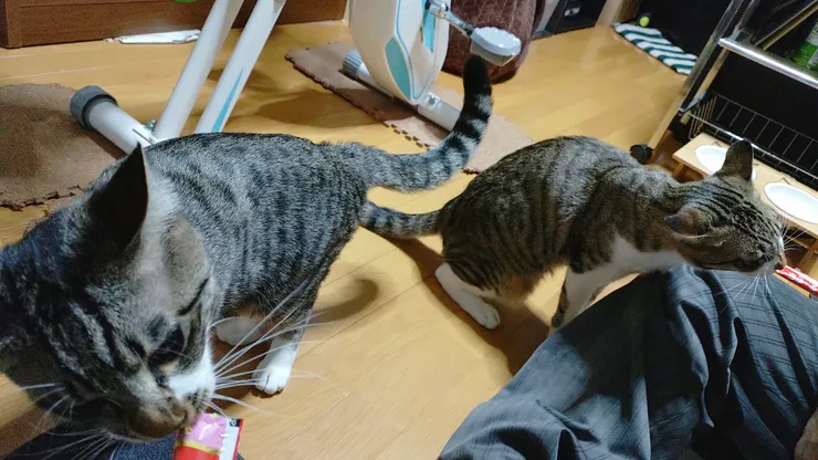 アイキャッチ