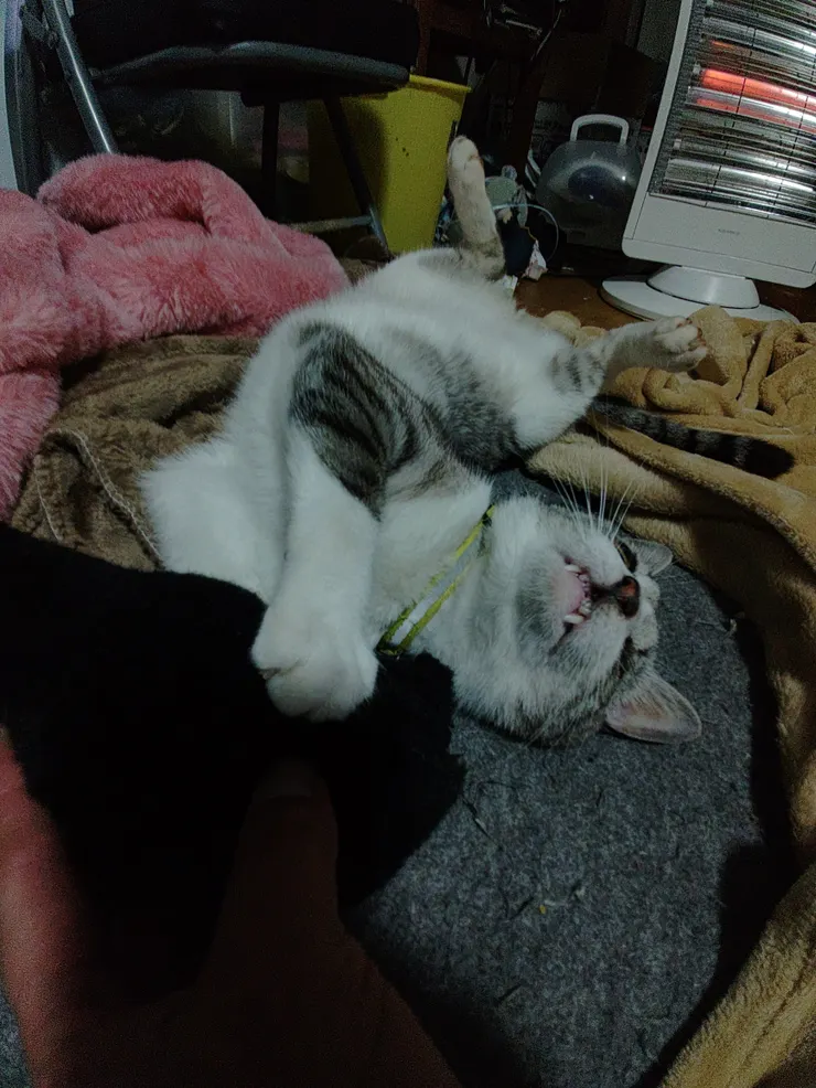アイキャッチ