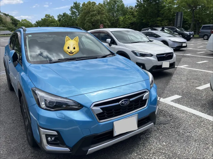 アイキャッチ