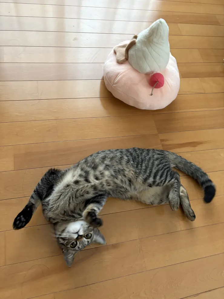 アイキャッチ
