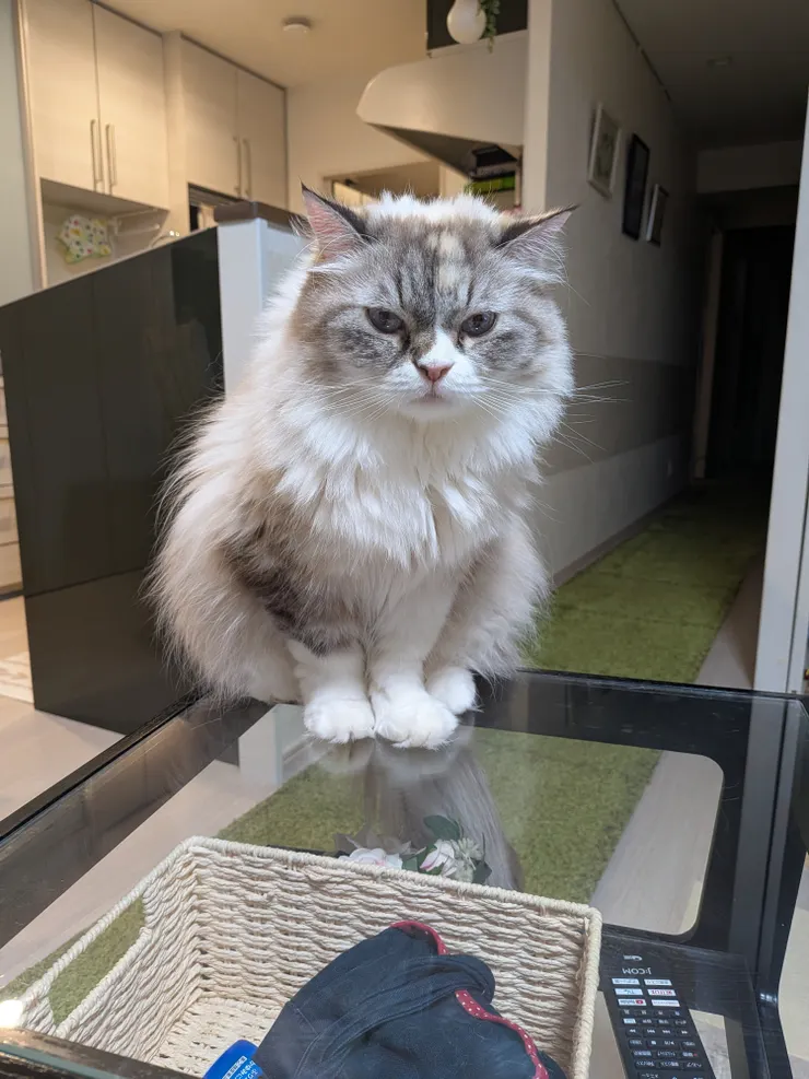 アイキャッチ