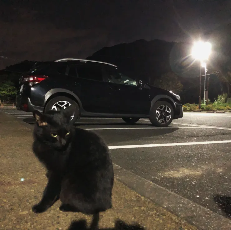 アイキャッチ