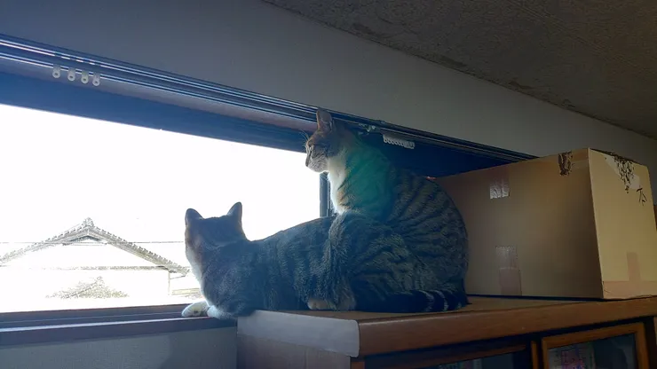 アイキャッチ