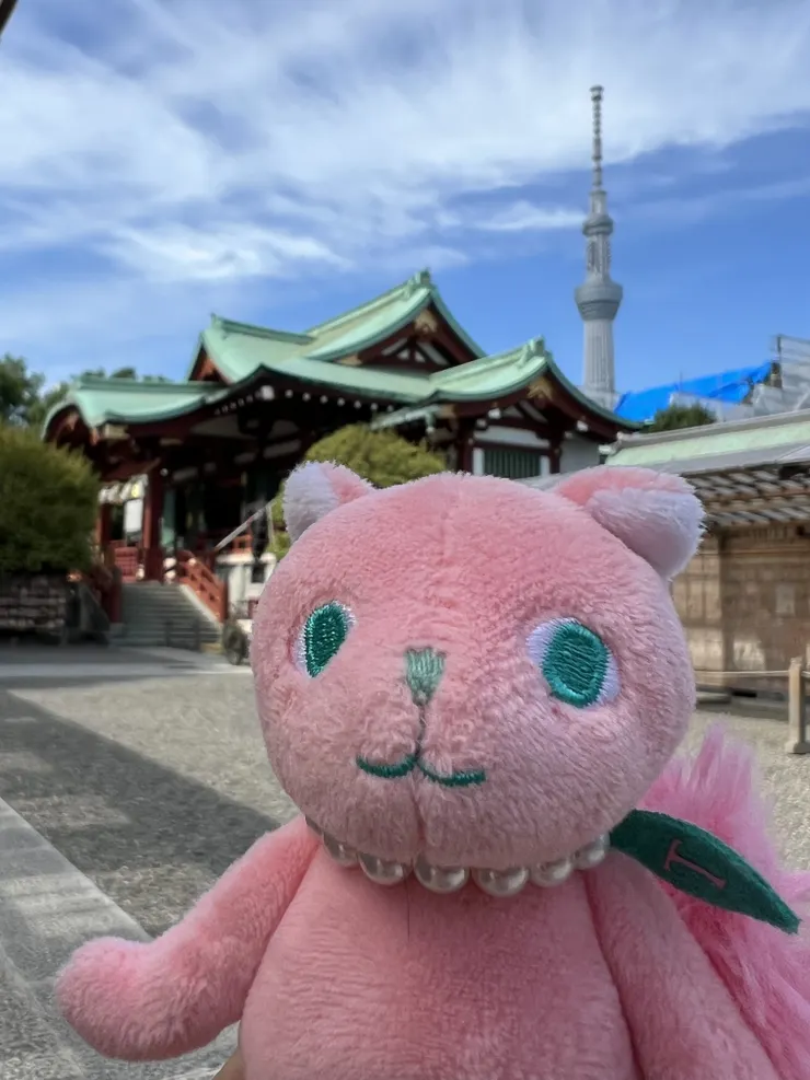 アイキャッチ