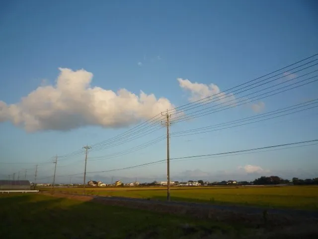 アイキャッチ