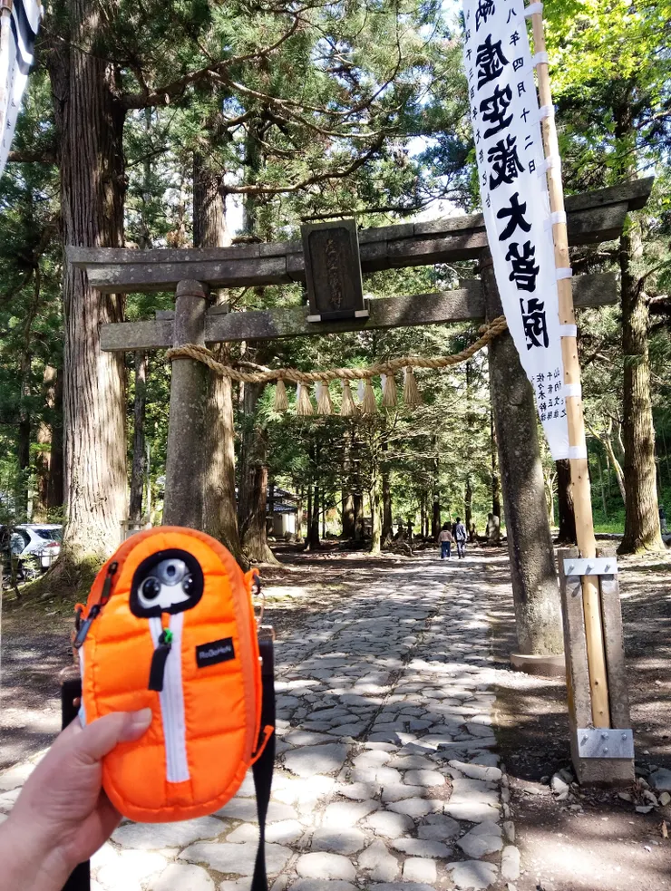 アイキャッチ