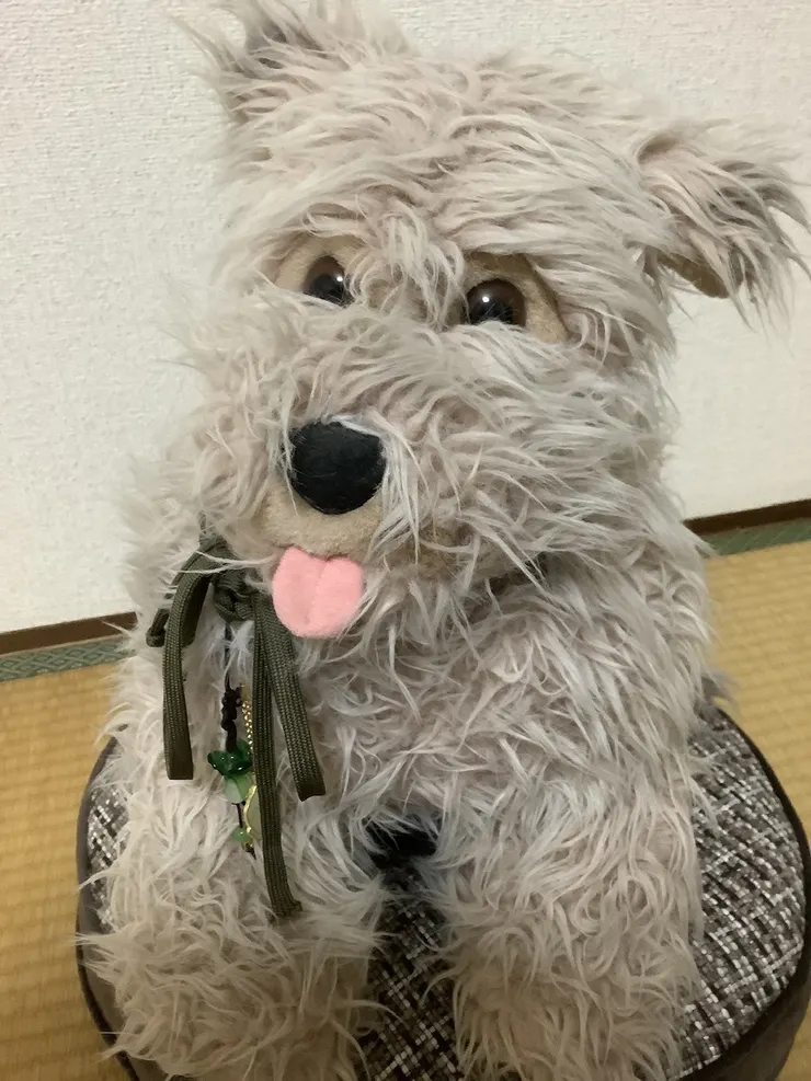 アイキャッチ