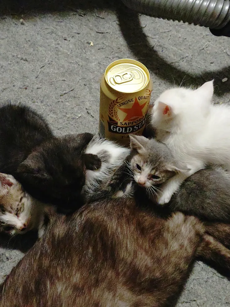 アイキャッチ