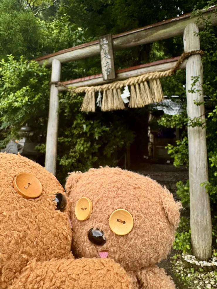 アイキャッチ