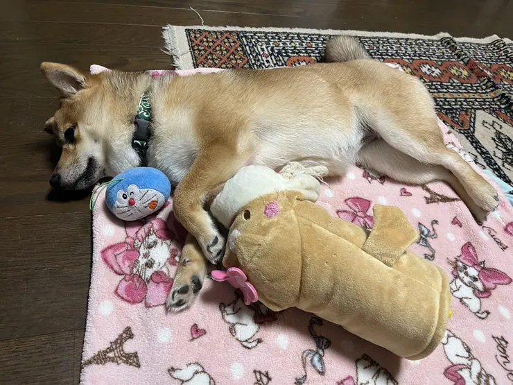 アイキャッチ