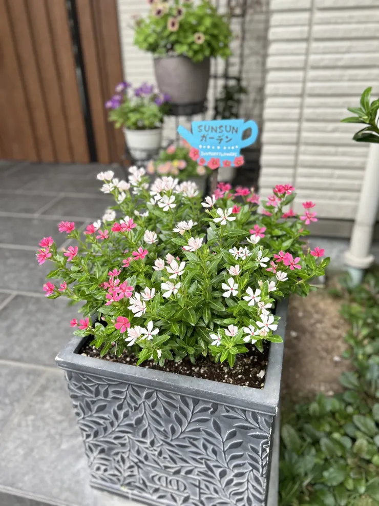 アイキャッチ