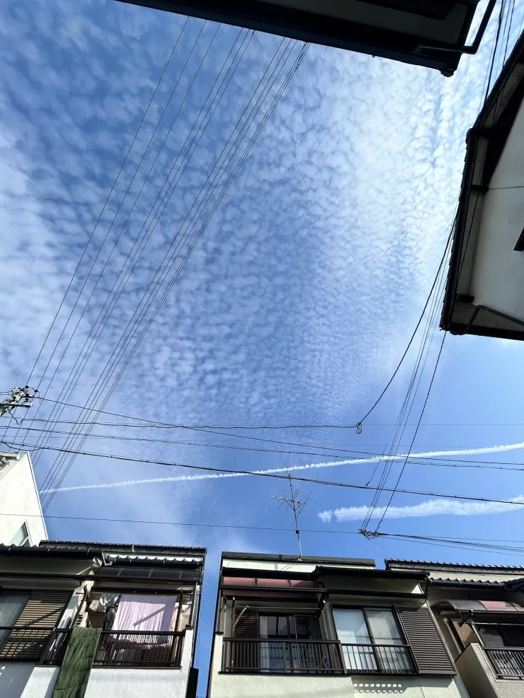 アイキャッチ
