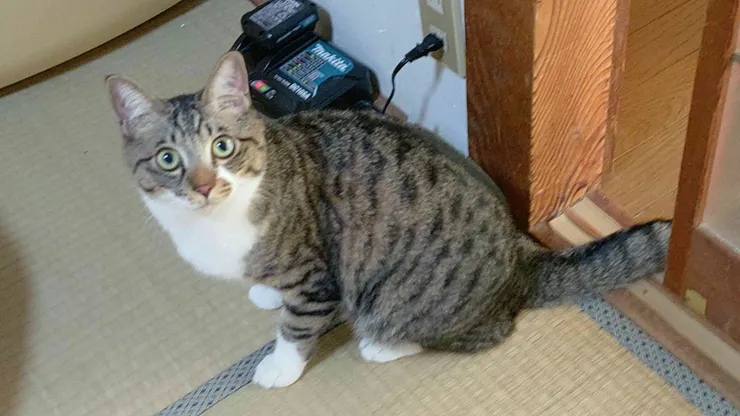 アイキャッチ