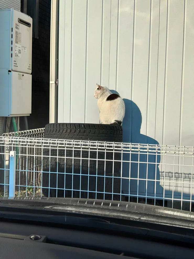 アイキャッチ