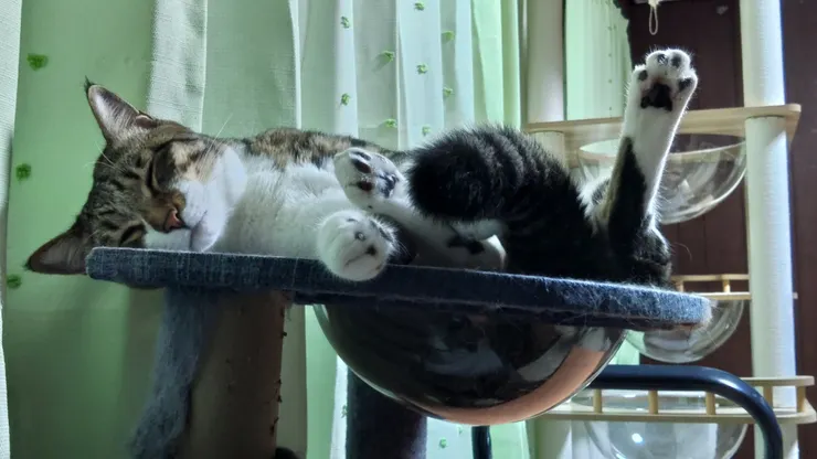 アイキャッチ