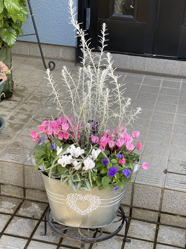 アイキャッチ
