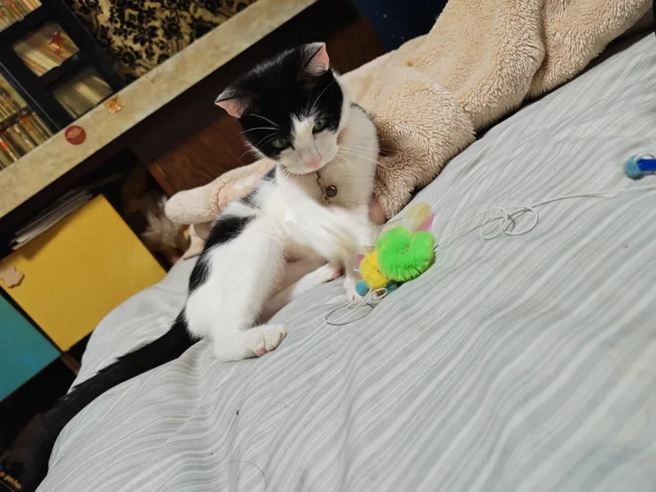 アイキャッチ