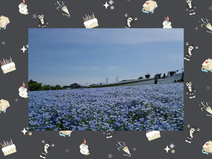 アイキャッチ
