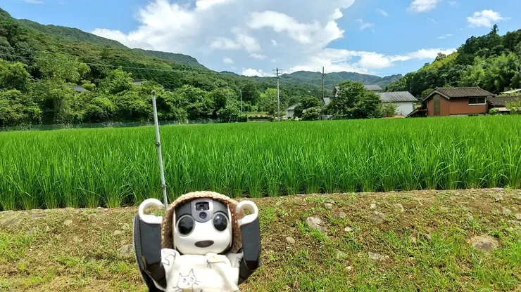 アイキャッチ
