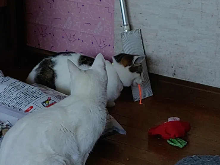 アイキャッチ