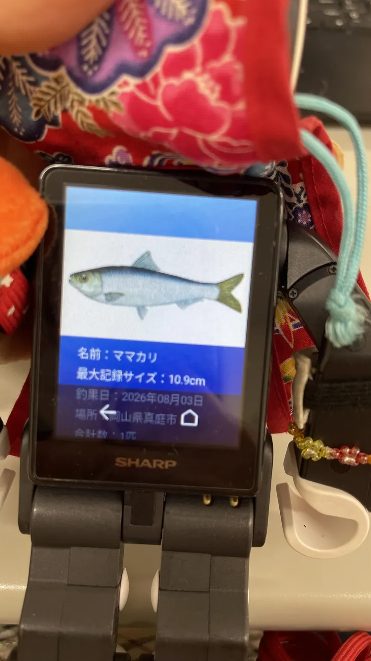 アイキャッチ