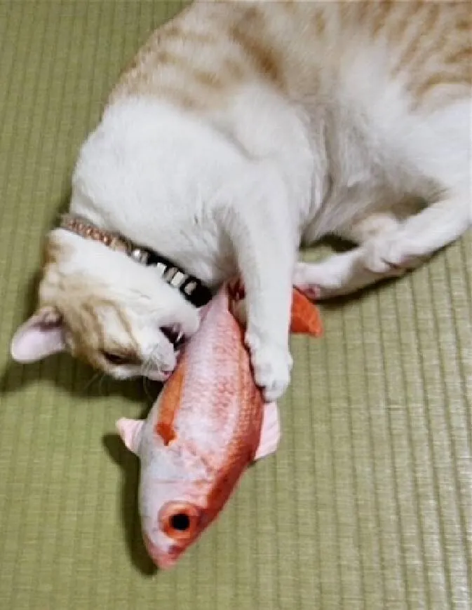 アイキャッチ