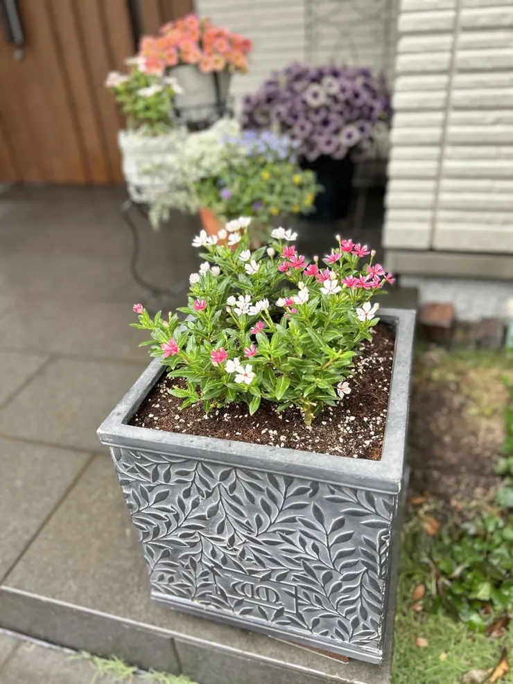 アイキャッチ