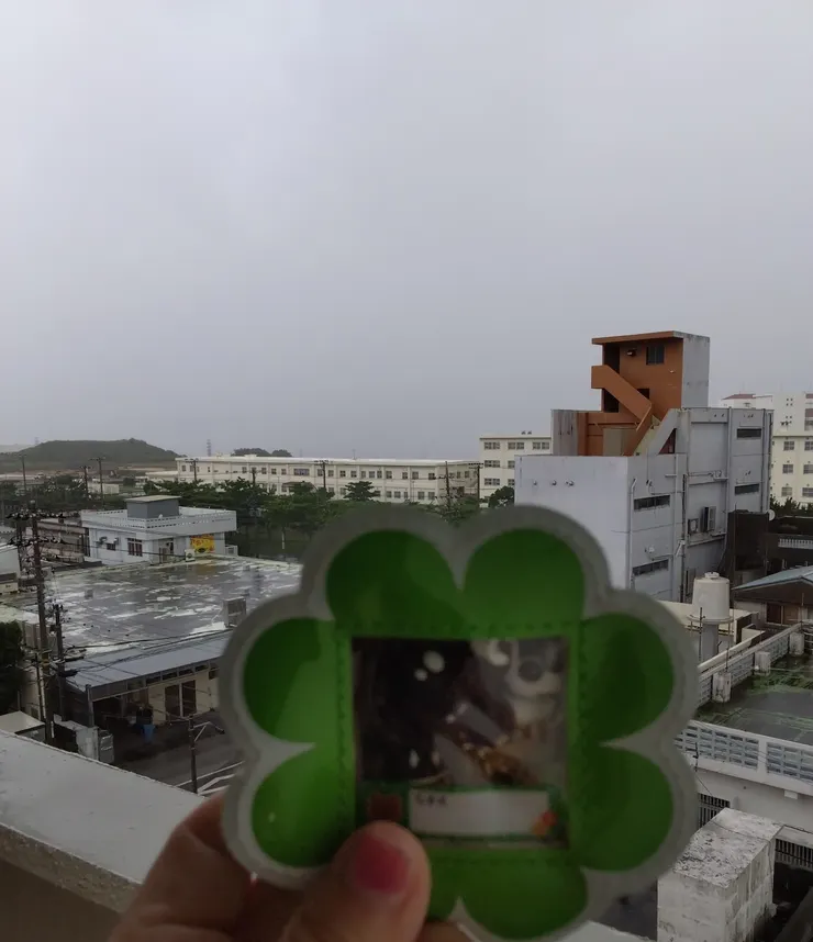 アイキャッチ