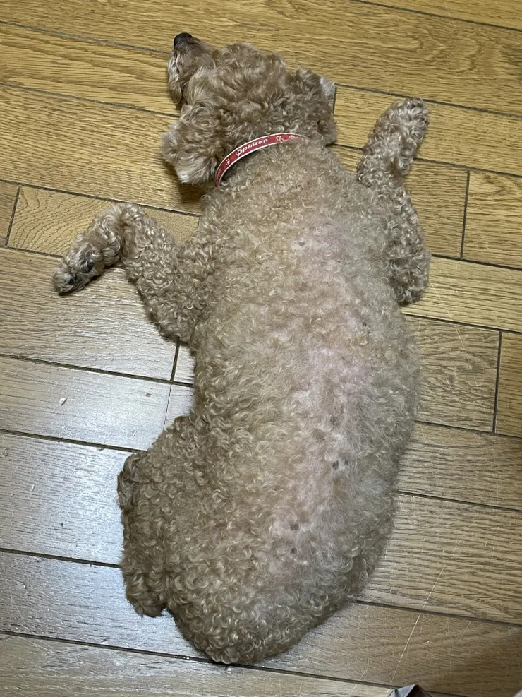 アイキャッチ