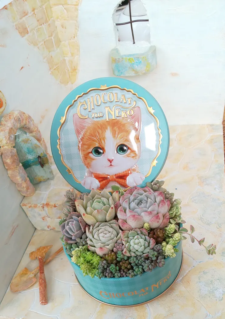 アイキャッチ