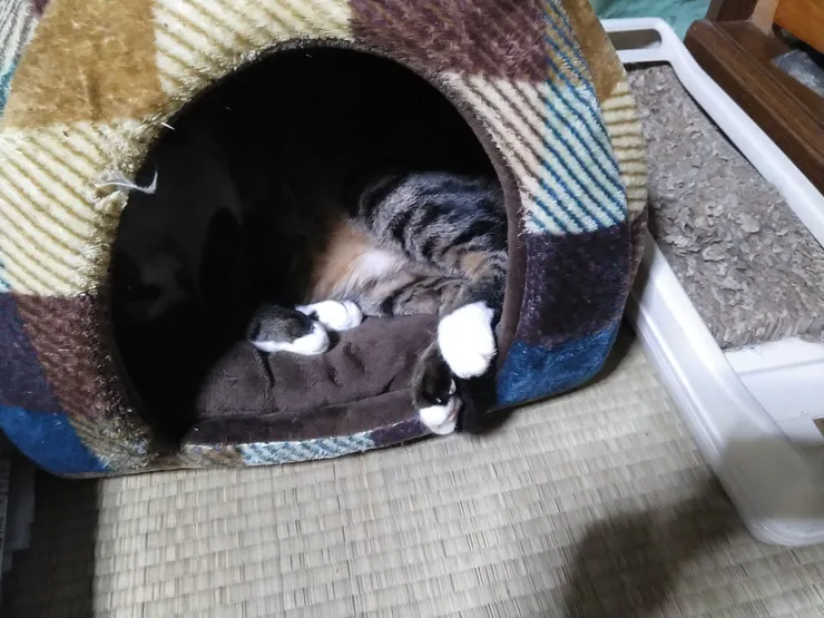 アイキャッチ
