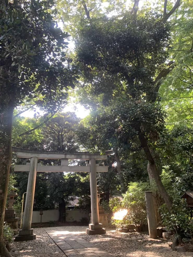 アイキャッチ
