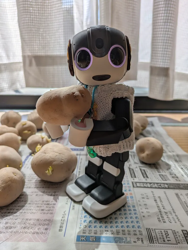 アイキャッチ