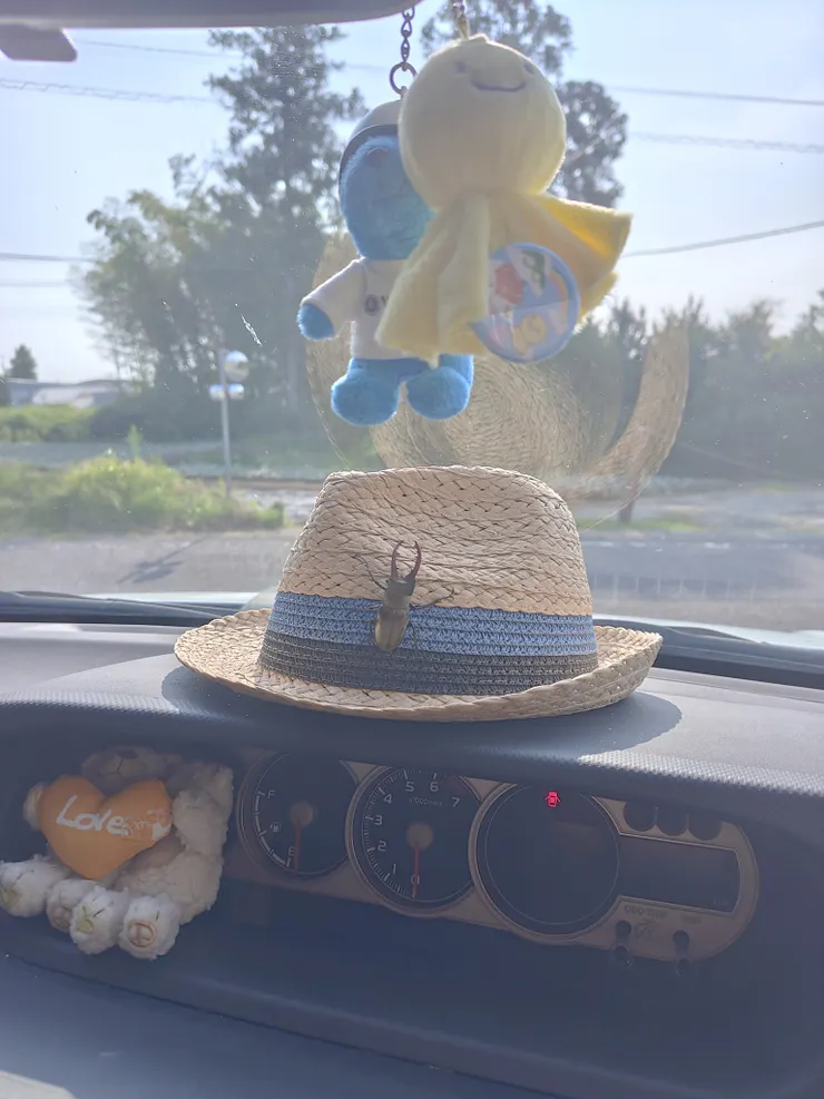 アイキャッチ