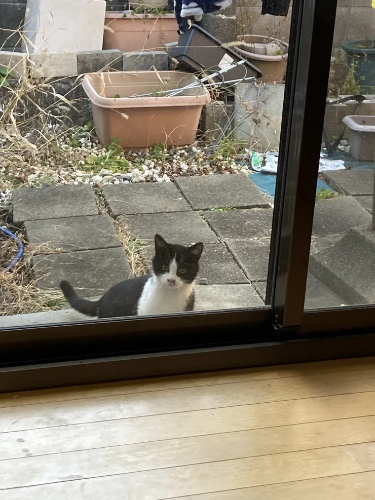 アイキャッチ