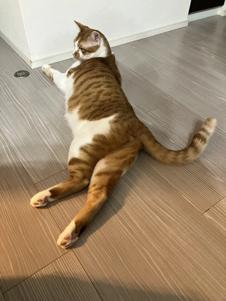 アイキャッチ
