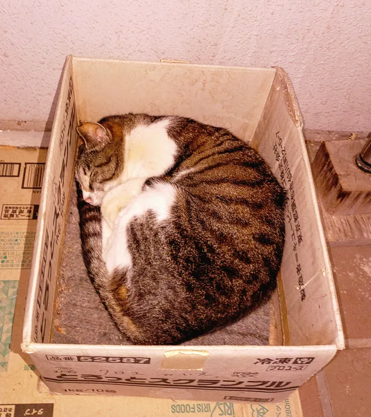 アイキャッチ