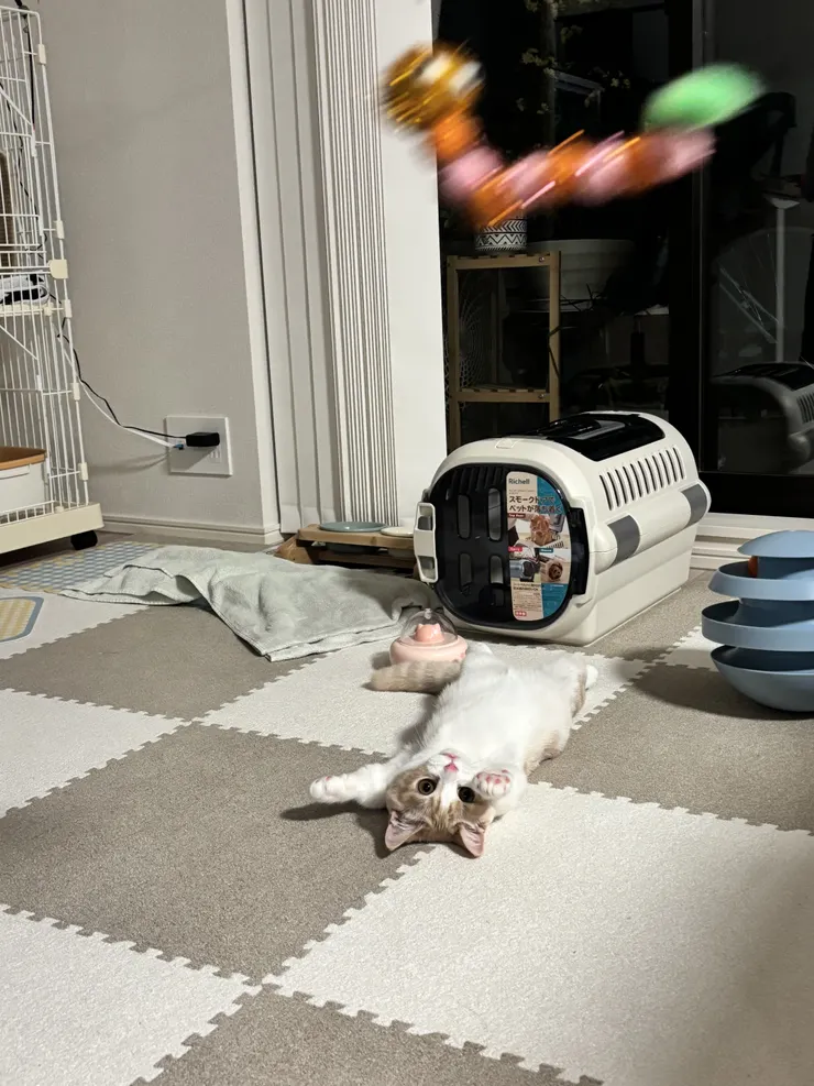 アイキャッチ