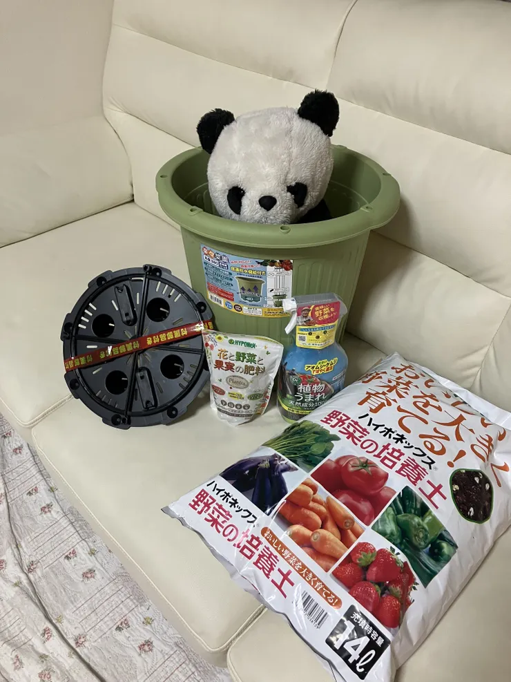 アイキャッチ