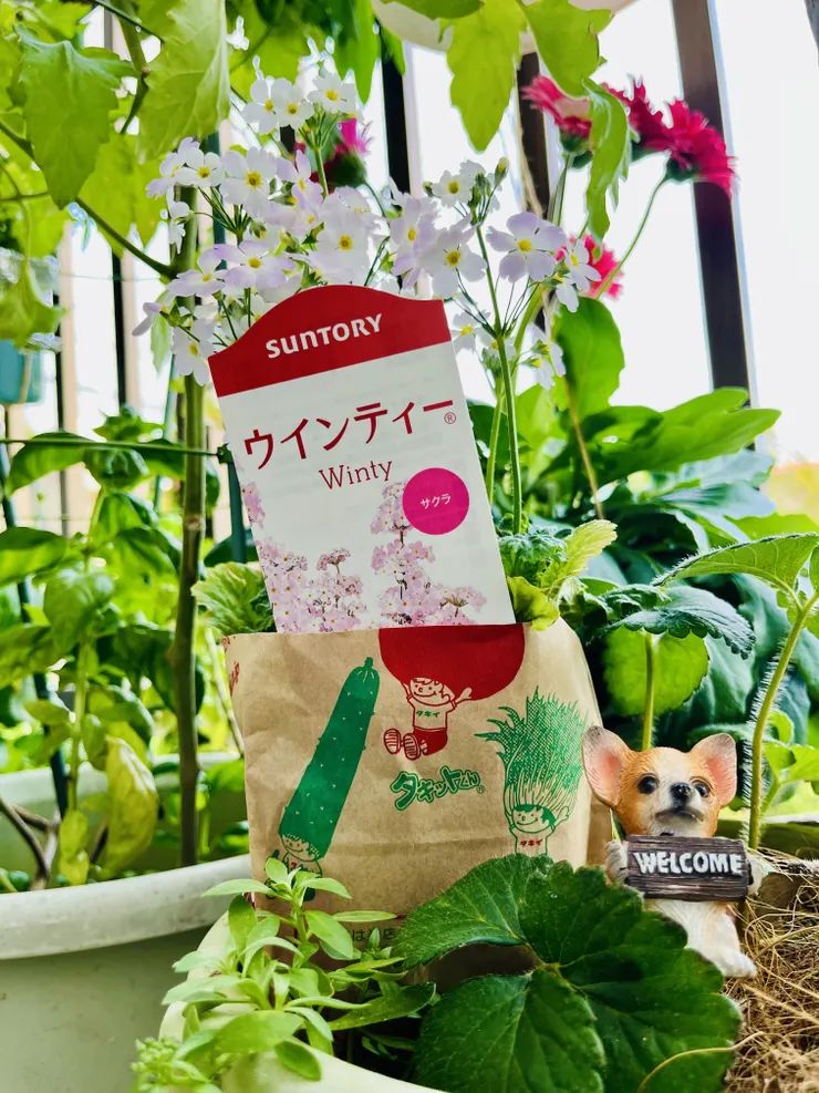 アイキャッチ