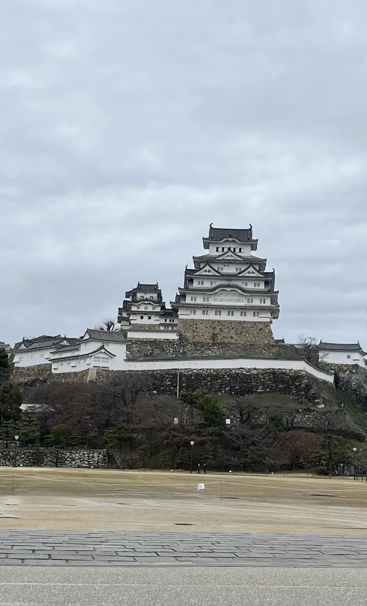 アイキャッチ